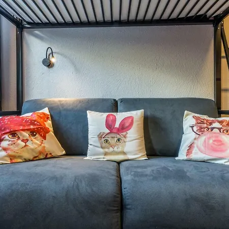 Large Studio Apartment *